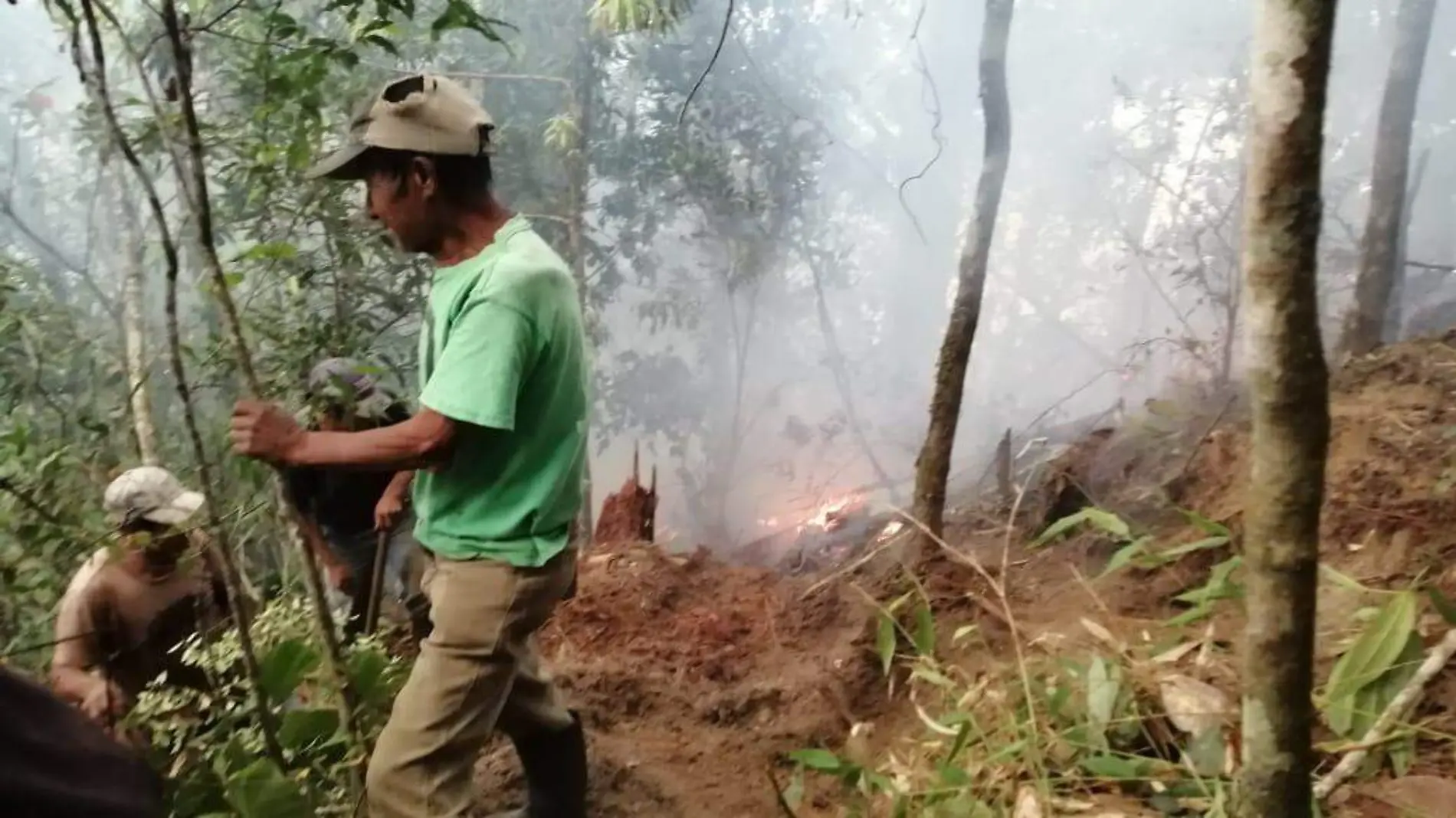 brigadistas. incendios